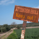 Ebola Bundibugyo in Congo: casi, decessi e risposta sanitaria